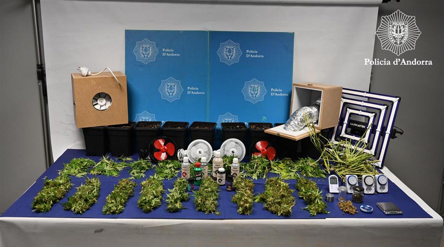 Incautació de marihuana per part de la Policia