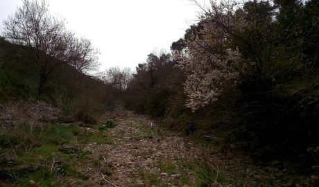 La Riera de Mediona, al Penedès