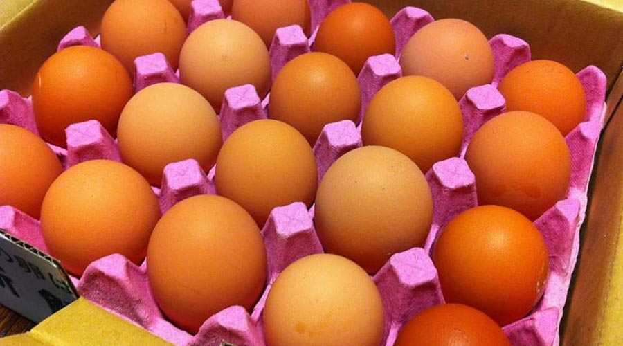 Envàs de cartró per a ous