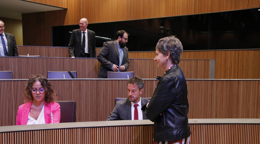 Judith Salazar del grup parlamentari socialdemòcrata