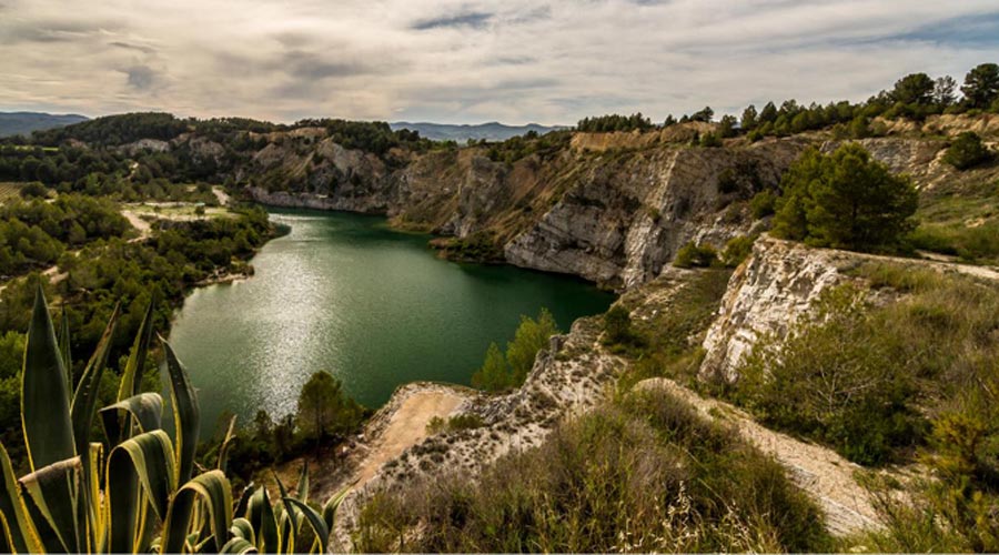 Un pèlag de Vilobí del Penedès