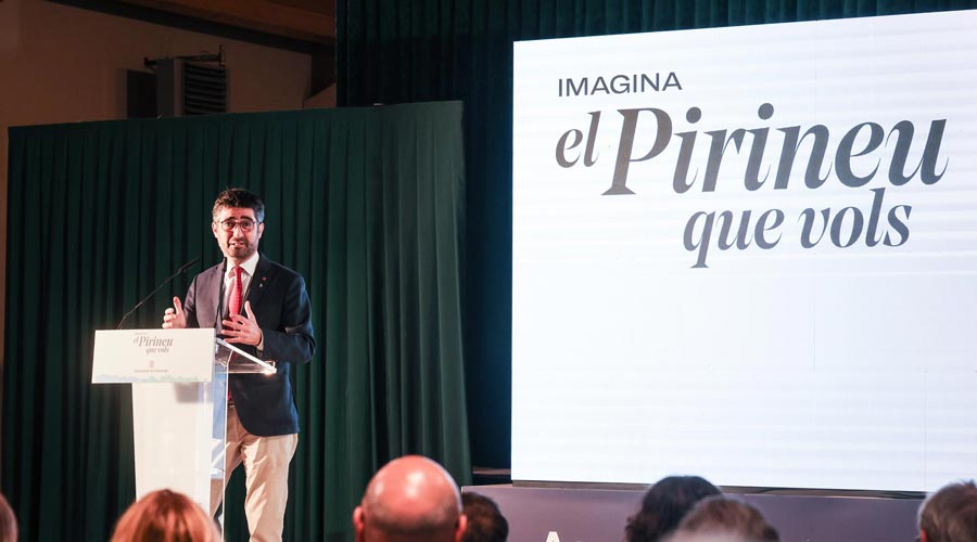 El vicepresident de la Generalitat de Catalunya, Jordi Puigneró