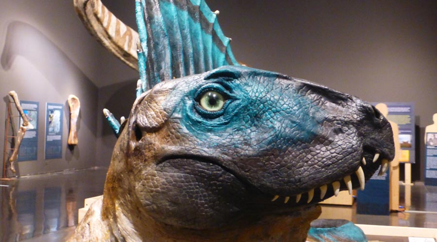 Reproducció d'un dinosaure al Museu de Lleida
