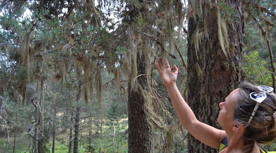 Una dona fent un bany de bosc