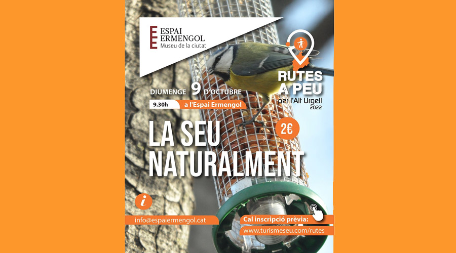 Cartell de la sortida per a conèixer la flora i fauna urbana de la Seu