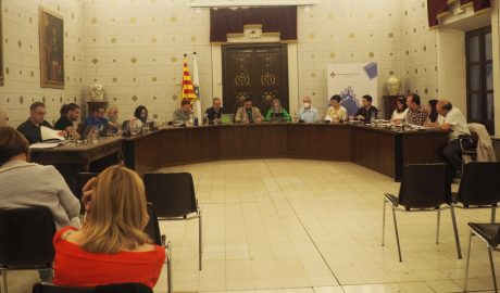 Ple de l'Ajuntament de la Seu
