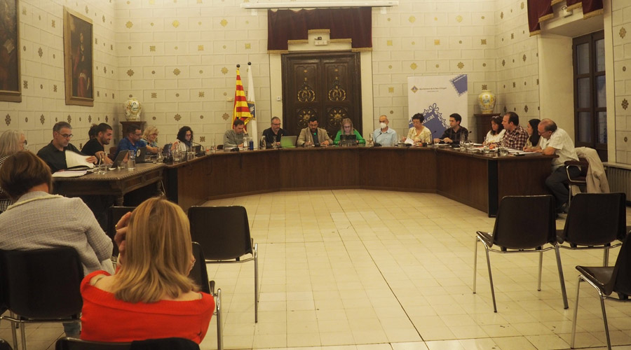 Ple de l'Ajuntament de la Seu