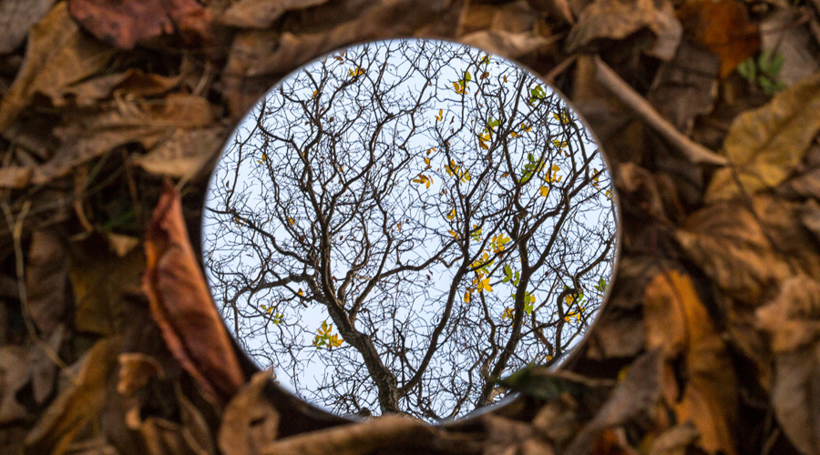 Primer premi del concurs de fotografia de FEDA, “Una mirada sostenible”