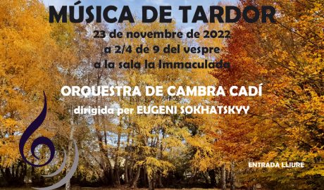 Cartell del Concert de Santa Cecília, a la Seu d'Urgell