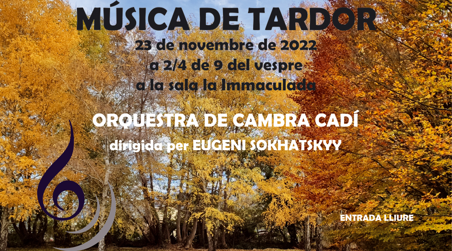 Cartell del Concert de Santa Cecília, a la Seu d'Urgell