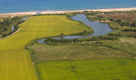 Els arrossars de les basses d'en Coll, a l'Empordà