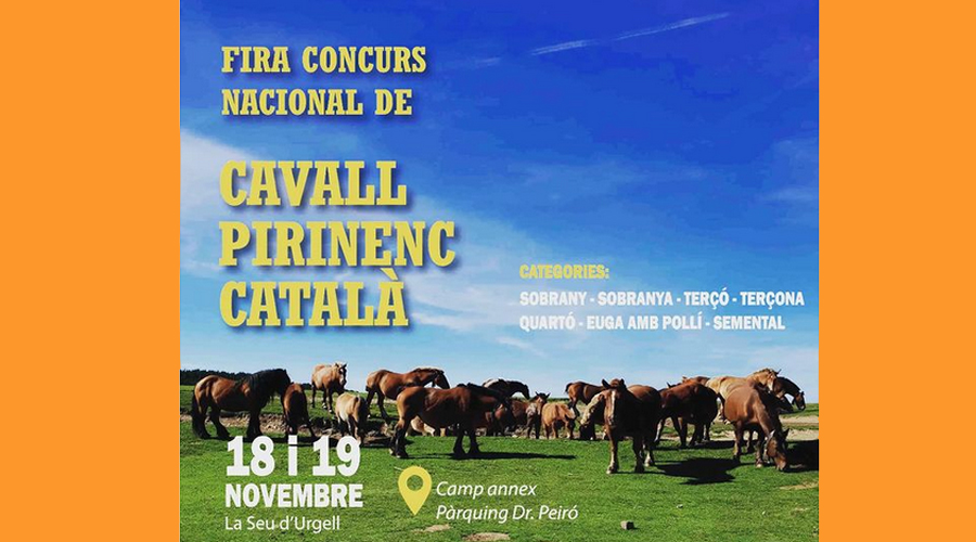 Cartell de la Fira i Concurs Nacional de Cavall Pirinenc Català