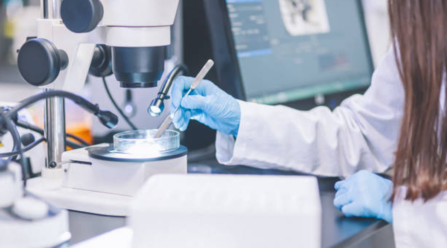 Una investigadora científica