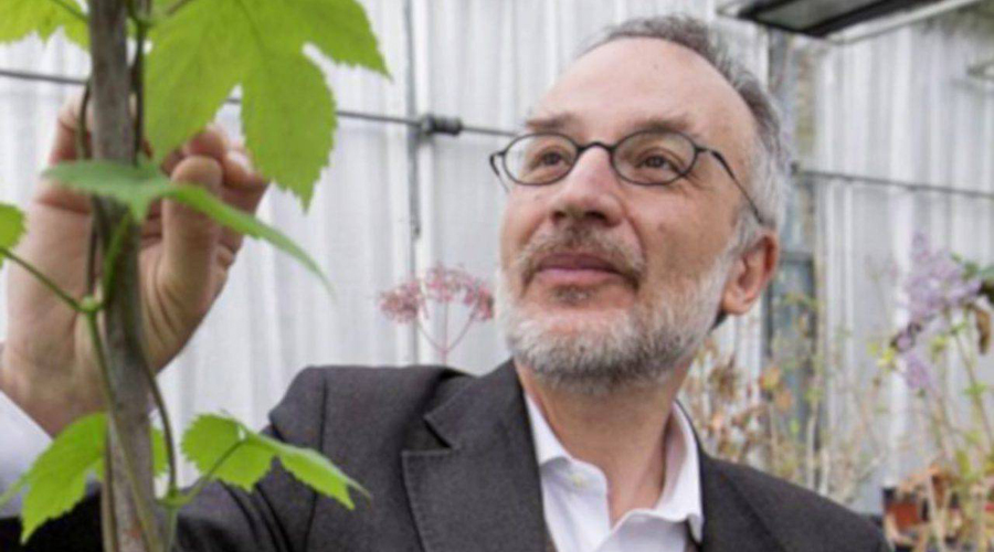 El científic Stefano Mancuso