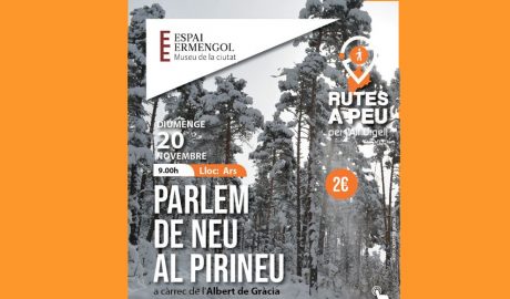 Cartell anunciant la sortida interpretativa "Parlem de neu al Pirineu" dins del cicle ‘Rutes a peu per l’Alt Urgell’