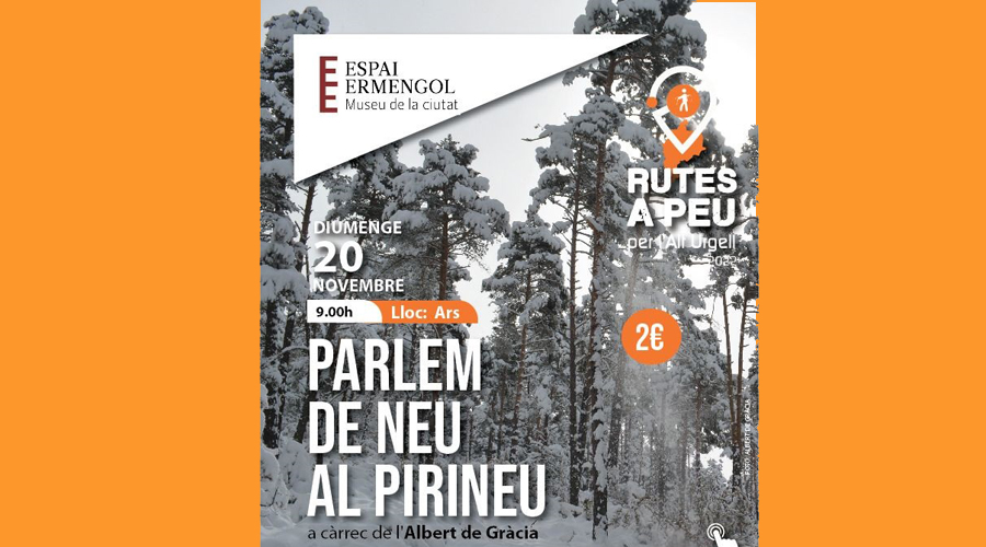 Cartell anunciant la sortida interpretativa "Parlem de neu al Pirineu" dins del cicle ‘Rutes a peu per l’Alt Urgell’
