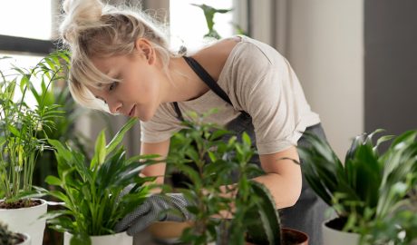Una dona cuinant plantes d'interior