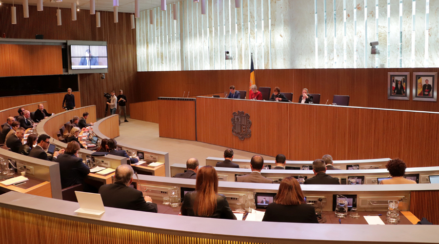 Una sessió del Consell General