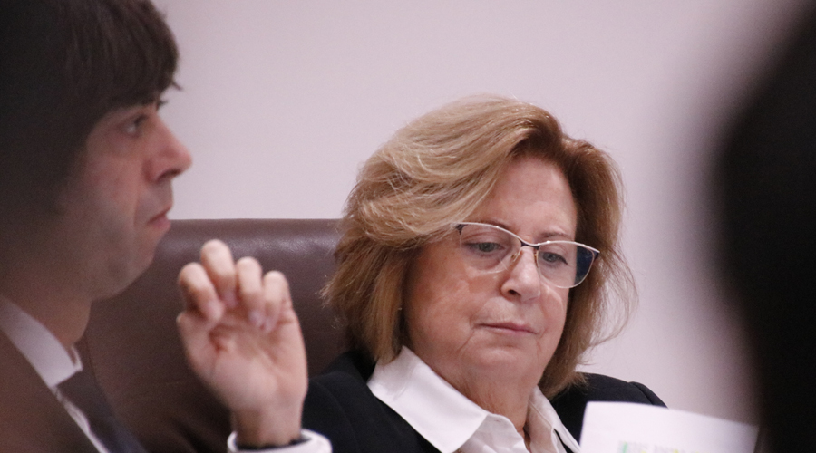 Dolors Carmona, consellera de comú del PS a Andorra la Vella