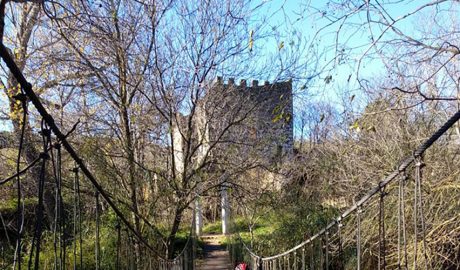 El molí de la Vella, a la Sénia