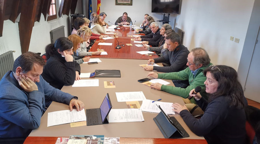 El ple del Consell Comarcal de l'Alt Urgell de desembre