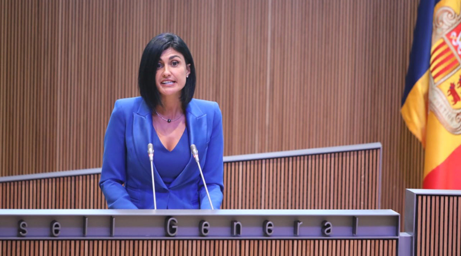 La consellera general no adscrita, Carine Montaner