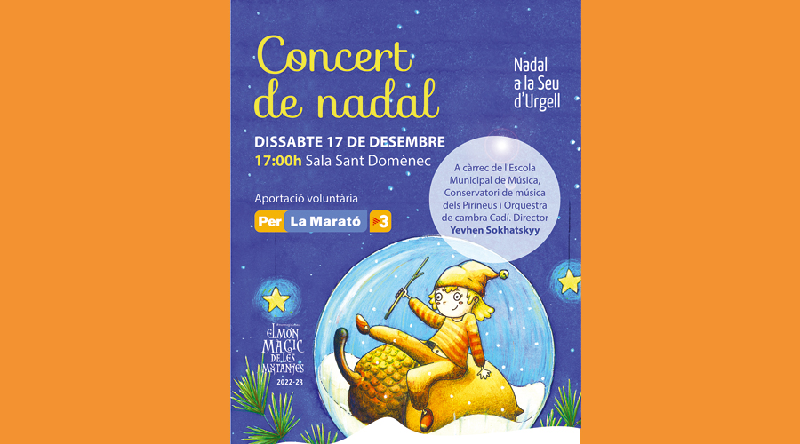 Cartell del concert de Nadal de l'Orquestra de Cambra Cadí, a la Seu