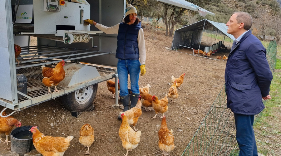 El subdelegat del Govern espanyol a Lleida, José Crespín, visitant una granja ecològica de gallines a Tírvia