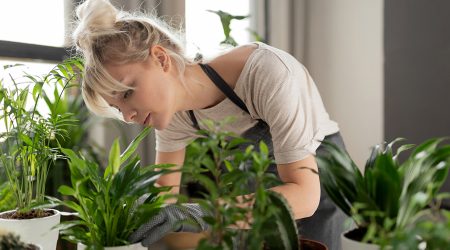 Una dona cuidant plantes d'interior