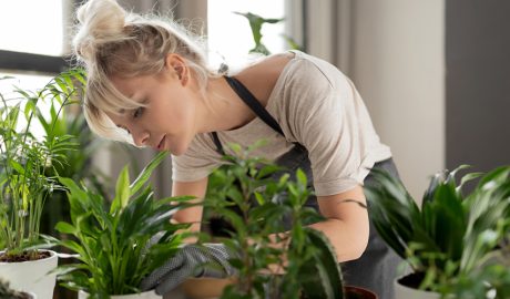 Una dona cuidant plantes d'interior