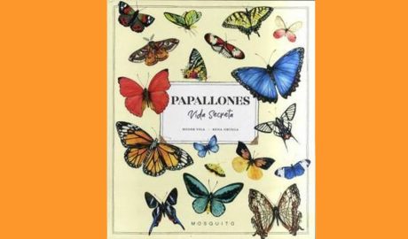 Coberta del llibre Papallones. Vida secreta