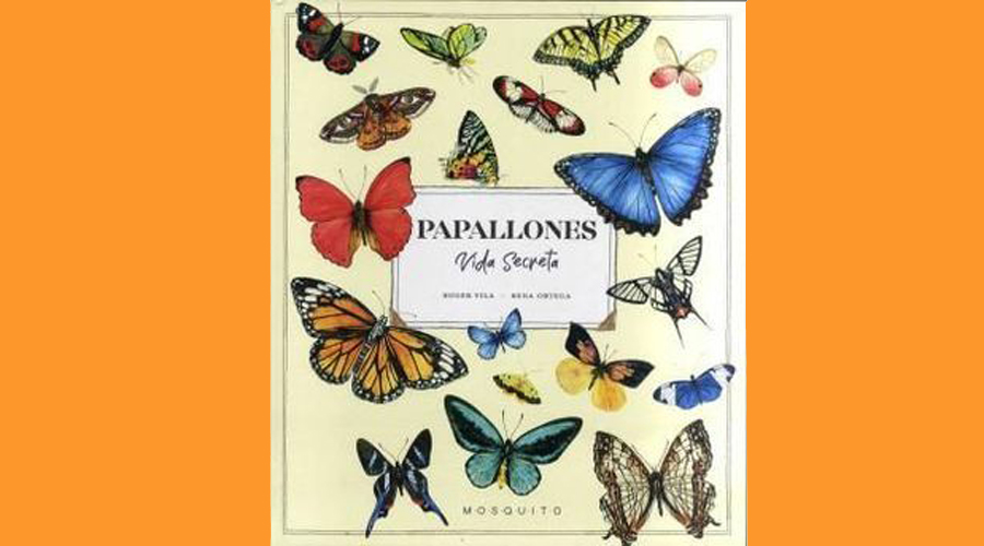 Coberta del llibre Papallones. Vida secreta
