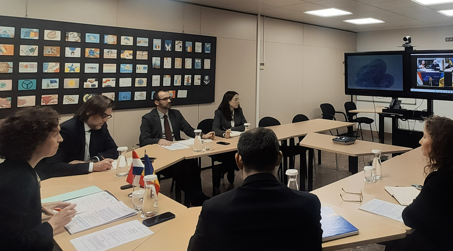 Reunió telemàtica entre la ministra d'Exteriors, Maria Ubach, i el seu homòleg de Paraguai, Julio Arriola