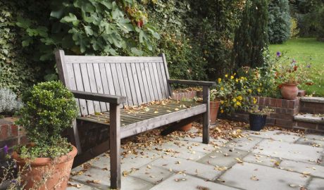 Un jardí a la tardor-hivern