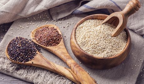 Tres varietats de quinoa