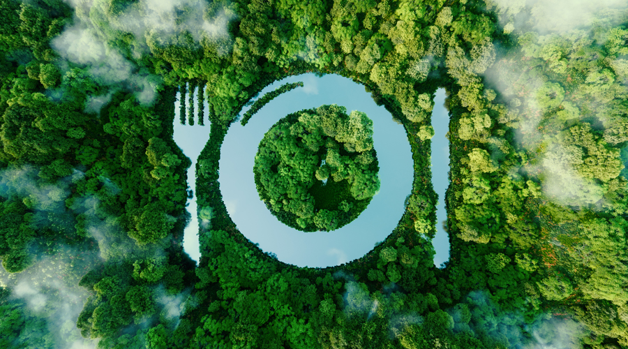 Una infografia que representa el veganisme en un bosc on es dibuixa un plat i uns coberts