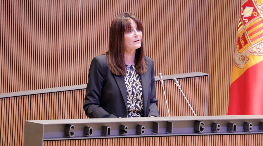 La presidenta suplent del Grup Parlamentari Demòcrata, Mònica Bonell