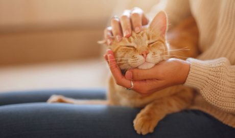 Una dona acaronant el seu gat