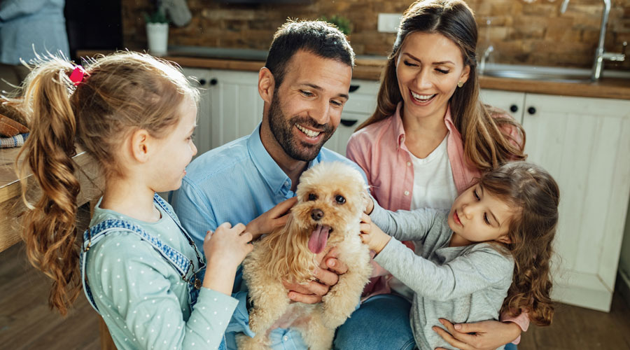 Una família envoltant un gos com un membre més