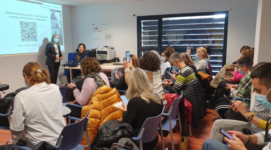 Una de les sessions de formació als professionals de la salut del Pirineu sobre l'alcohol en menors
