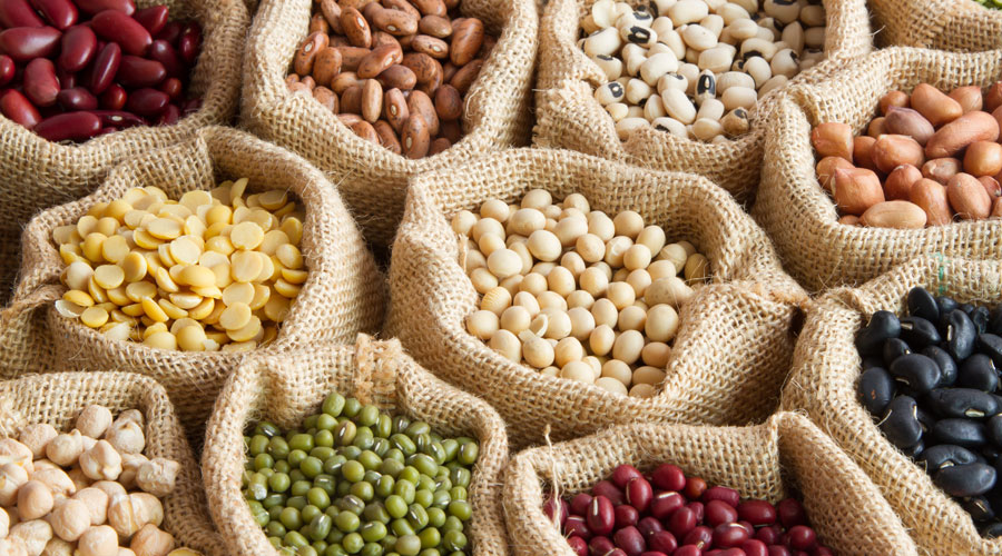 Una gran varietat de llegums