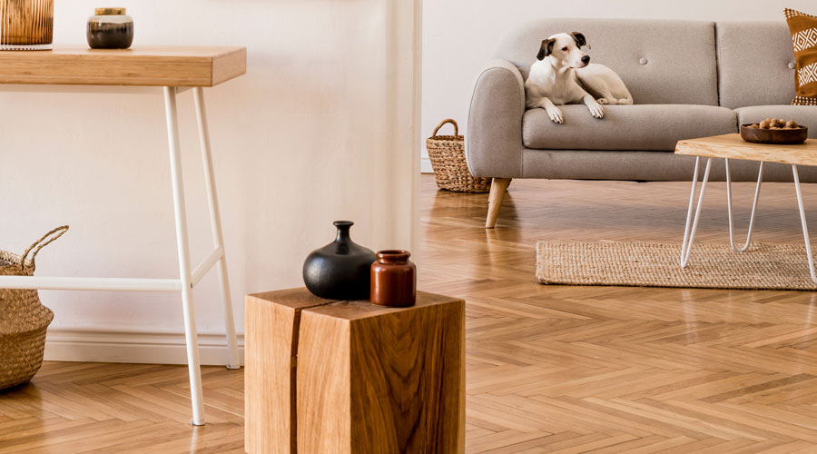 Un pis amb mobiliari minimalista