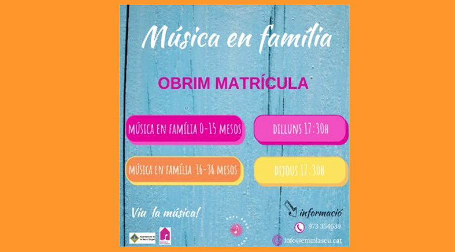 Cartell de la iniciativa Música en família, a la Seu