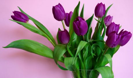 Un ram de tulipes