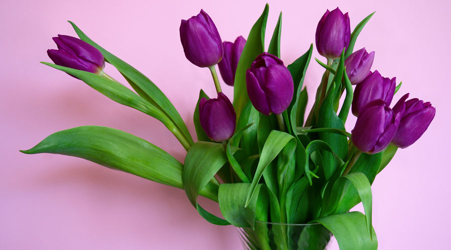 Un ram de tulipes