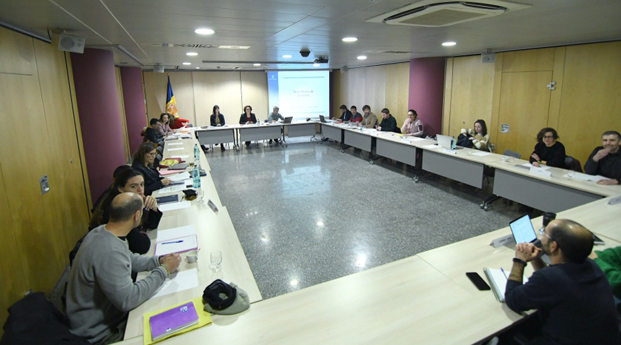 Reunió de la Taula Mixta de Joventut (SFGA)