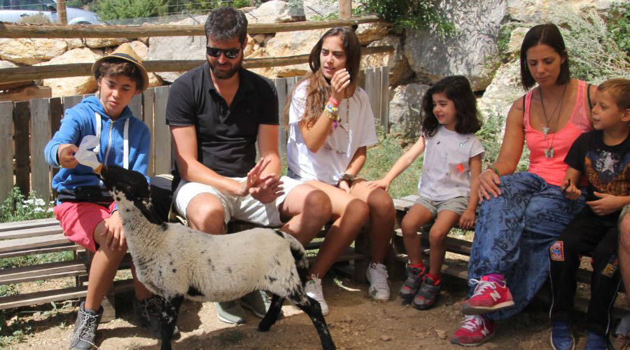 Activitat familiar del "Toca, toca" (Zoo del Pirineu)