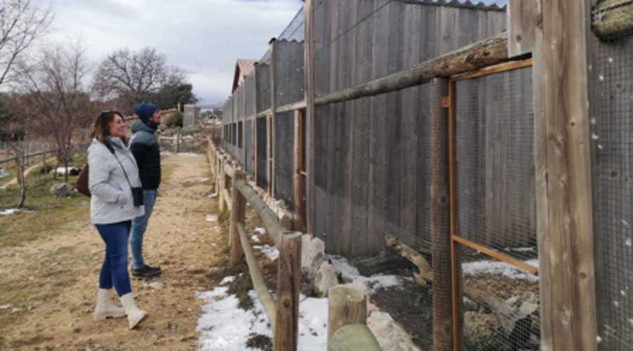 Imatge de la visita de la Dra. Palmira Saladié al Zoo del Pirineu. Fotografia: Rosa Huguet / IPHES-CERCA