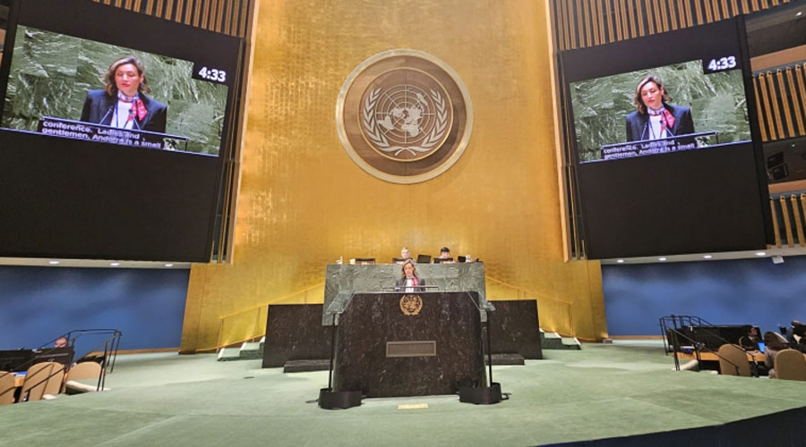 Intervenció de la directora del departament de Medi Ambient i Sostenibilitat, Sílvia Ferrer, a la Conferència de l'Aigua de l'ONU (SFG)