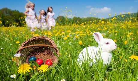 El conill, un animal molt associat amb la Pasqua